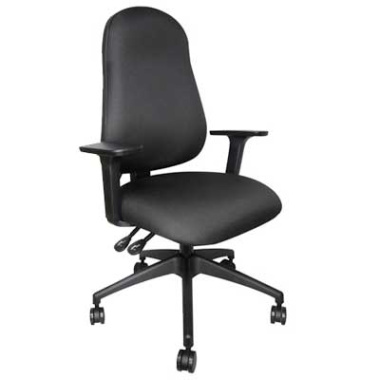 Domus Ergonomic Work From Home Office Chair